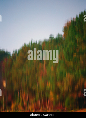 Fall scene with trees reflected in a lake Stock Photo - Alamy