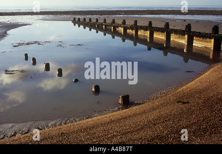 Shingle beach with new and old groynes and pools reflecting clouds with rock pools and sea beyond in golden early morning light Stock Photo