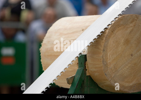 Saw cutting  log  trontzalaritza log  sawing competition  