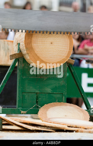 Saw cutting  log  trontzalaritza log  sawing competition  