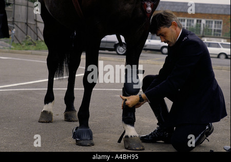 'POLICE HORSES TRAINING', A POLICE MAN KNEELS DOWN TO ADJUST A PADDED LEG PROTECTOR ON BROWN HORSE STANDING IN A CARPARK. LONDON 1990, 1990 Stock Photo