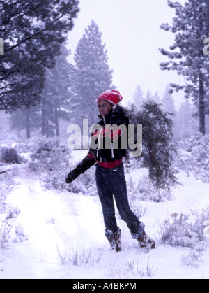 30,651.09100 Boy gathers and carries a Christmas tree in the forest in snow during a snowstorm. Stock Photo