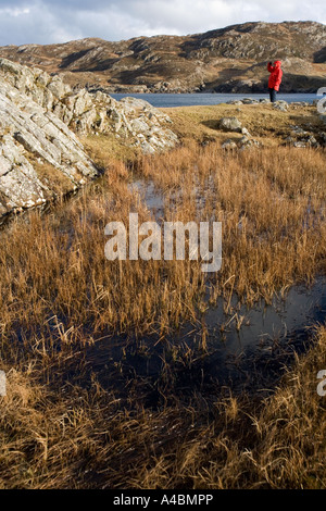 Walker admiring the view by a coastal pool near Scourie on the North West coast of Scotland. UK Stock Photo