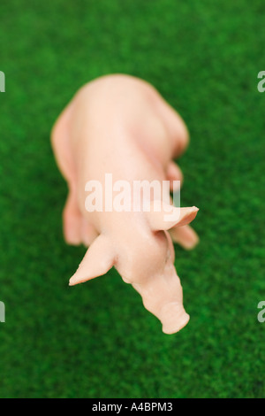 Miniature pig made of plastic on green artificial grass Stock Photo