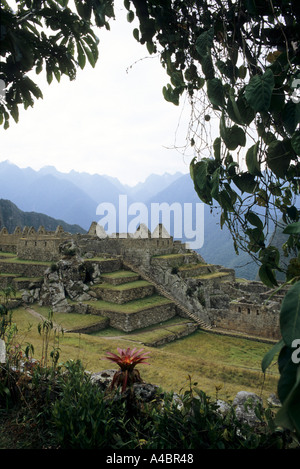 terraces and stairs to Machu Picchu Stock Photo - Alamy