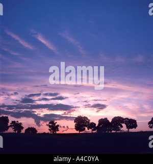 Colorful countryside sunrise with trees Stock Photo - Alamy