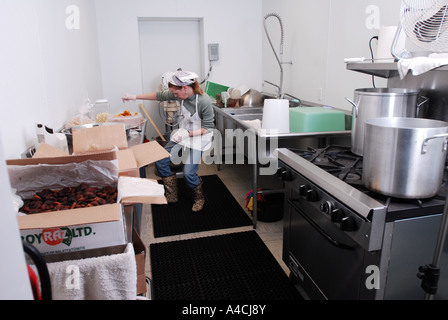 Woman with micro business that sells gourmet sauces and foods works in her small commercial kitchen Stock Photo