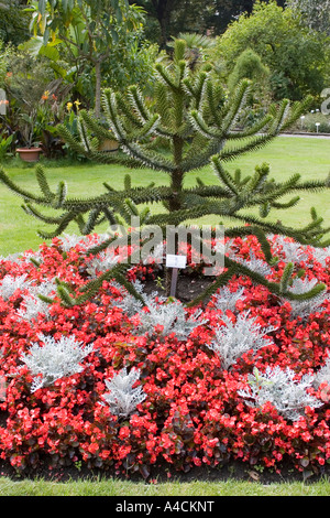 Botanical Gardens Antwerp Stock Photo