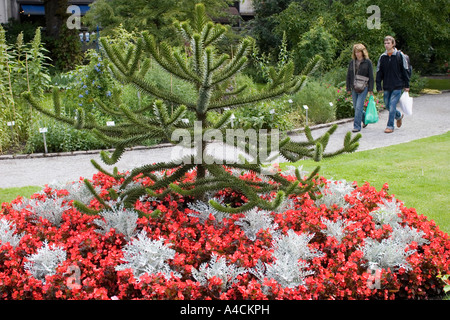 Botanical Gardens Antwerp Belgium Stock Photo