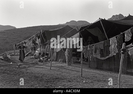 July 1987 Turkey Iraq border Kurdistan A mountain camp where Kurds would pasture their sheep and goats in summer Stock Photo