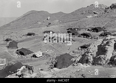 July 1987 Iraq Turkey border Kurdistan A Kurdish summer pasture mountain camp Photo by Richard Wayman Stock Photo