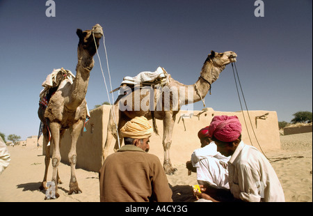 India Rajasthan Thar Desert Khuri village people camel drivers and their camels Stock Photo