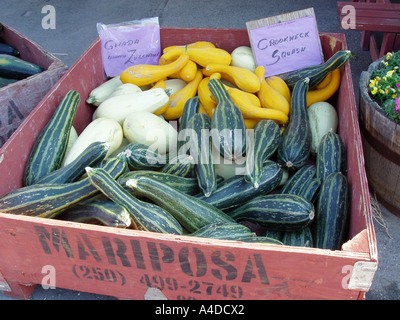 Vegetables on Sale at Fruit Stand, Keremeos, BC Canada Stock Photo