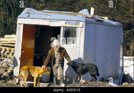 A homeless man living in a caravan tends his dogs. Stock Photo