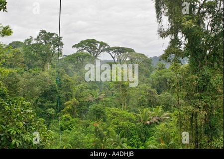 Primary rainforest from gondola at Rainforest Aerial Tram, Valle Central & Highlands, Costa Rica Stock Photo