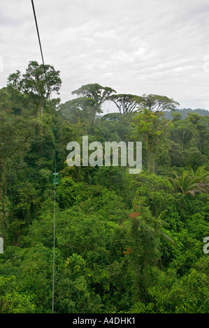 Primary rainforest from gondola at Rainforest Aerial Tram, Valle Central & Highlands, Costa Rica Stock Photo