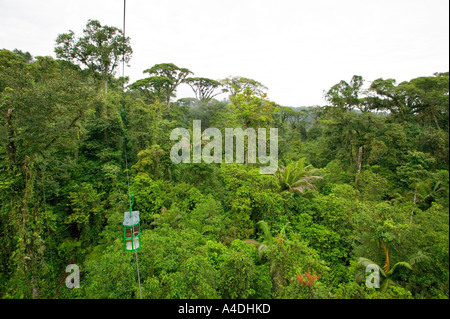 Primary rainforest from gondola at Rainforest Aerial Tram, Valle Central & Highlands, Costa Rica Stock Photo