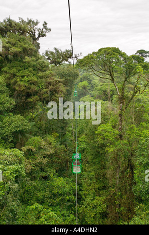 Primary rainforest from gondola at Rainforest Aerial Tram, Valle Central & Highlands, Costa Rica Stock Photo