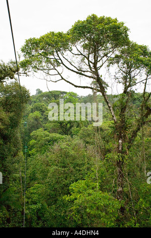 Primary rainforest from gondola at Rainforest Aerial Tram, Valle Central & Highlands, Costa Rica Stock Photo