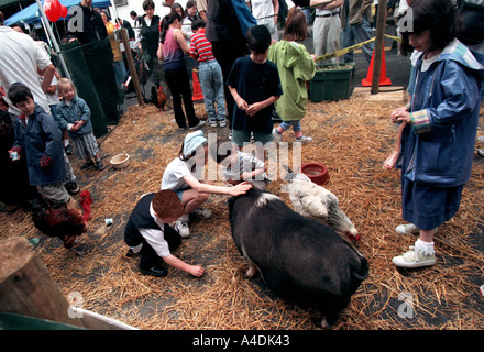 farmyard animals petting zoo at at fair swift current Saskatchewan