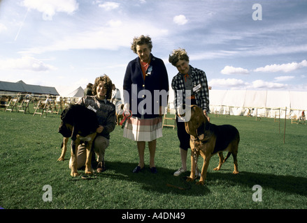 A female judge presenting a rosette to owners with their dogs at the Bloodhound Competition in Ascot, United Kingdom Stock Photo