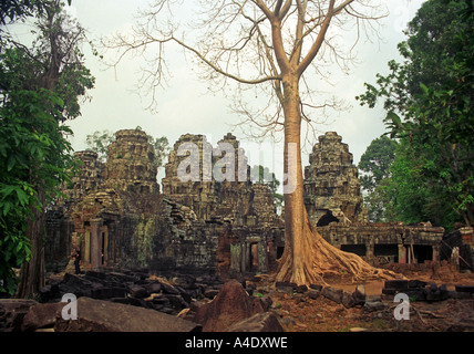 Ta Prohm Temple complex with overgrowing banyan trees, Angkor Complex, Cambodia. DV13 Stock Photo