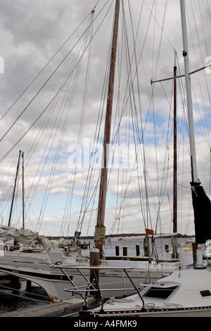 Sailboats moored in harbor on Chesapeake Bay Stock Photo