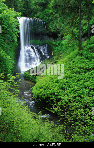 Middle North Falls in Silver Falls State Park in Salem Oregon Stock Photo