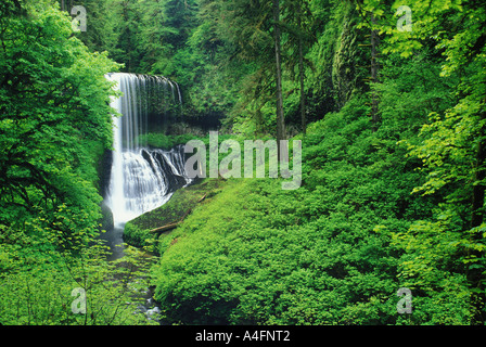 Middle North Falls in Silver Falls State Park in Salem Oregon Stock Photo