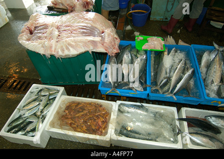 Seafood including whale shark meat tofu shark Nanfang ao fish market Suao Taipei Taiwan Republic of China Stock Photo