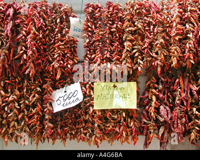 Dried peppers hanging ouside shop in Amalfi Italy advertising as natural Viagra Stock Photo