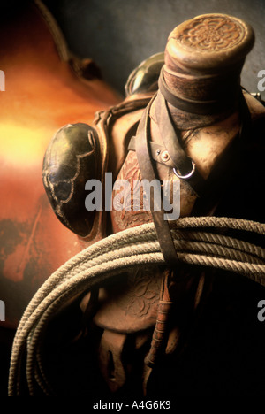 Western saddle horn and rope in golden light Stock Photo