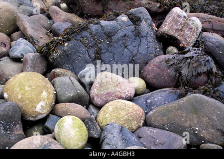 Variety of different coloured stones and pebbles on Elgol beach, Isle of Skye, Western Highlands Stock Photo