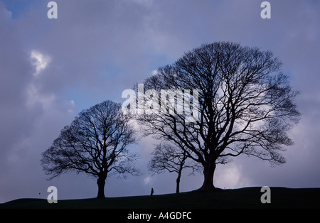 Winter on the Approach Golf Course Bath Spa, Somerset, England UK Stock Photo