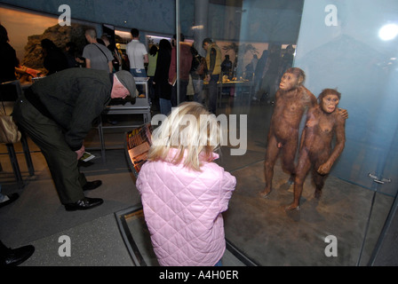 Offering the most comprehensive evidence of human evolution ever ...