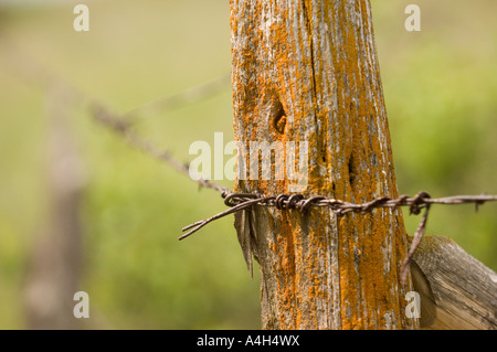 Old fence post Stock Photo