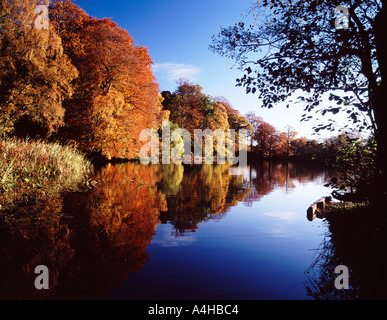 Bolam Lake in Autumn, Northumberland Stock Photo