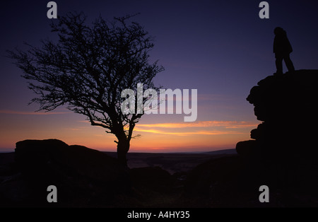 Saddle Tor at dusk on Dartmoor Devon county England UK Stock Photo