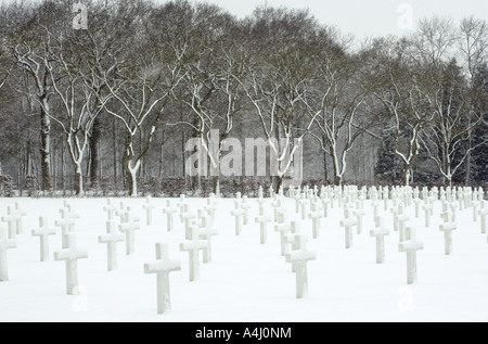 Magical Trees and Crosses, American Cemetery,Madingley, Cambridge Stock Photo