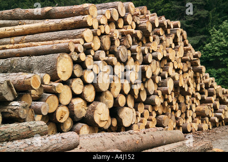 Timber Yard near Bolzano Trentino Italy Stock Photo