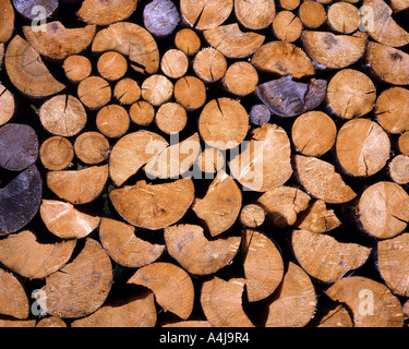 DE - BAVARIA:  Pile of Wood Stock Photo