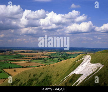 GB - WILTSHIRE:  Westbury White Horse Stock Photo