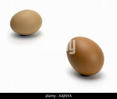 Two brown chicken eggs on a white background Stock Photo