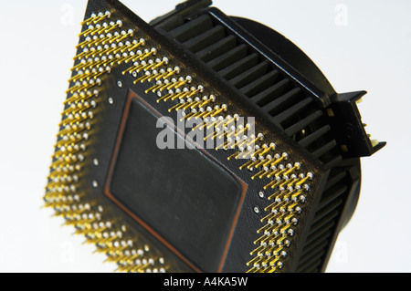 Closeup computer CPU unit showing gold plated pins Stock Photo