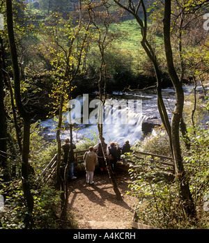 Admiring the Aysgarth Falls on the River Ure, Wensleydale, in the Yorkshire Dales National Park, England. Stock Photo