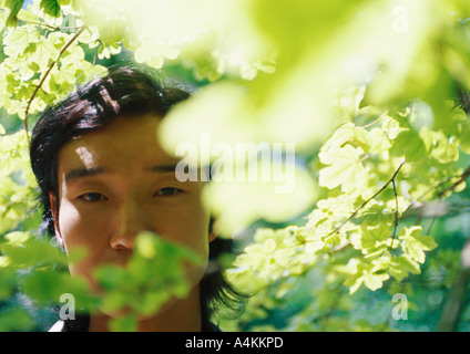 Man's face behind branches, close-up Stock Photo