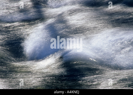 Leavitt Creek in the Toiyabe National Forest, Sierra Nevada Mountain Range, California, USA Stock Photo