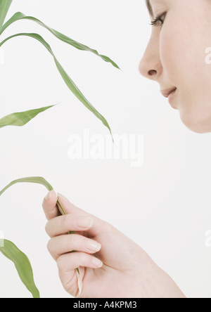 Woman touching bamboo leaves Stock Photo