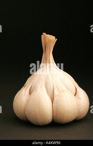 Single garlic clove on black background Stock Photo