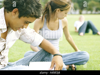Students sitting on grass, studying Stock Photo